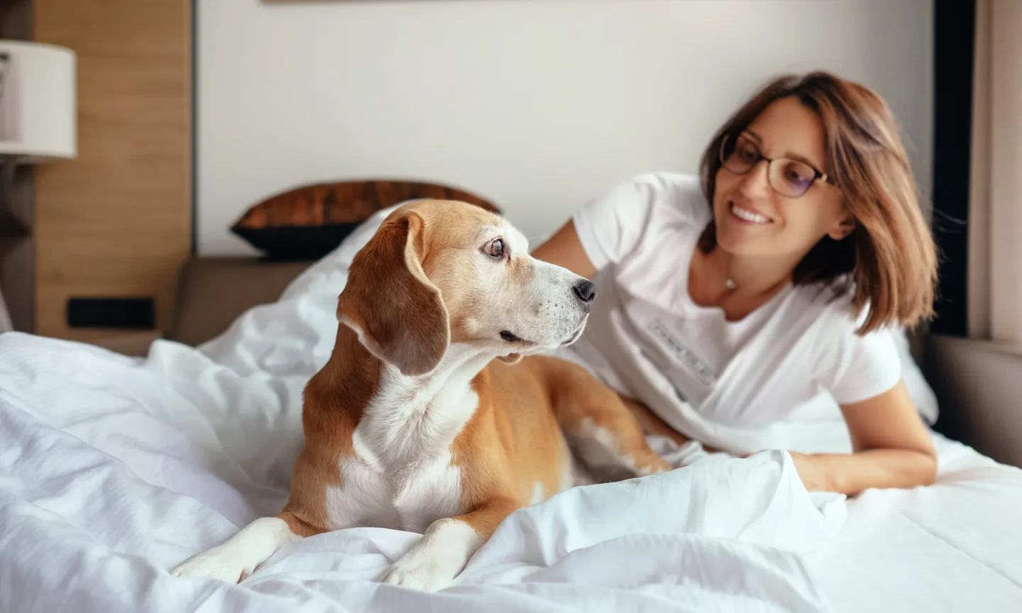 Enjoying San Francisco: Pet Friendly Hotels San Francisco